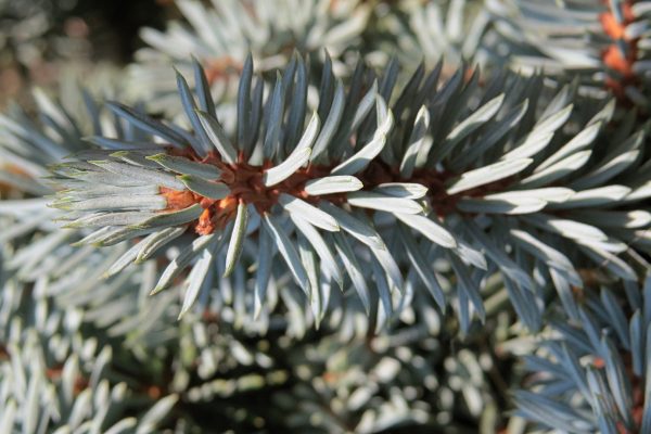 algemene informatie hoogsensitiviteit